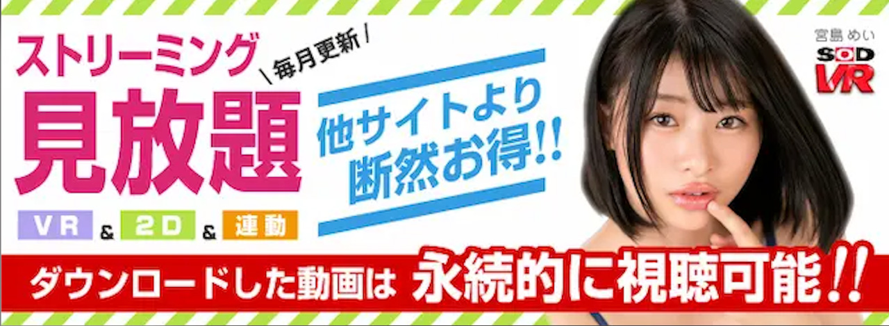 アダルトフェスタVR ストリーミング見放題