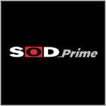 SODプライムVR見放題